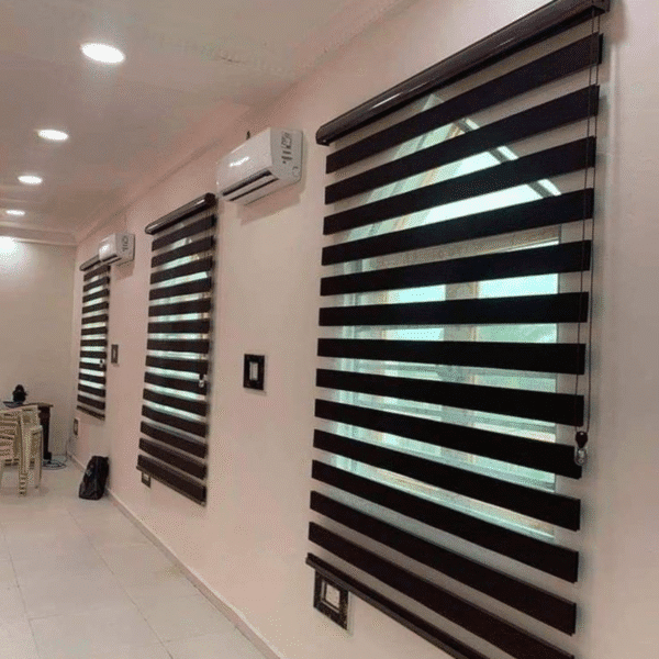 Duplex Blinds