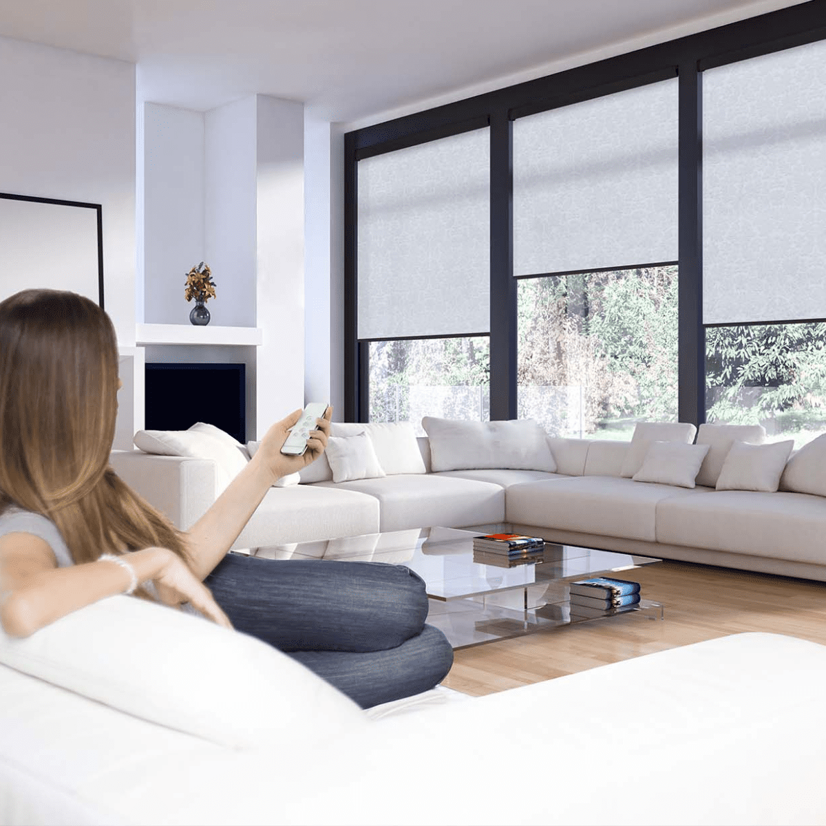 Motorised Blinds